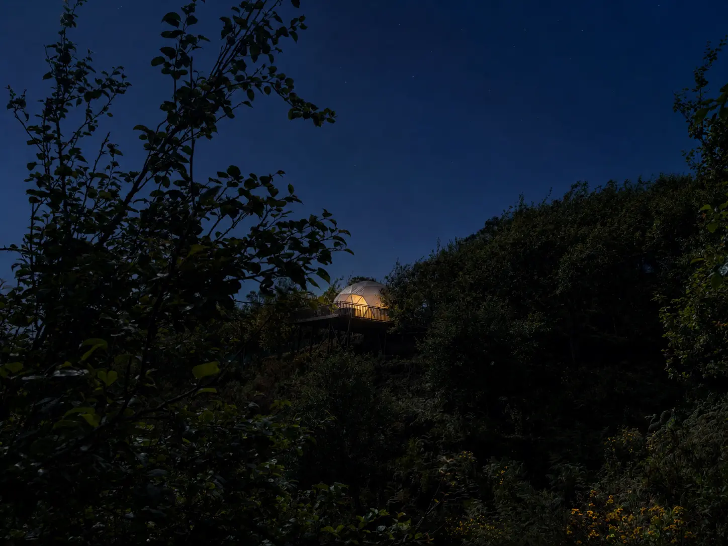 Night View