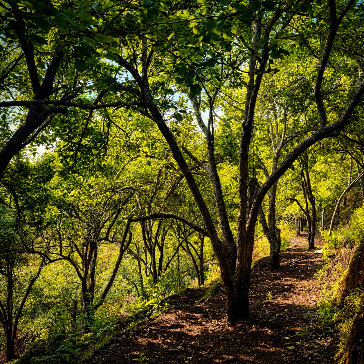 Photography Spots